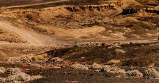 海纳：凯恩还有一年半的合同，我想不出他有什么理由离开拜仁