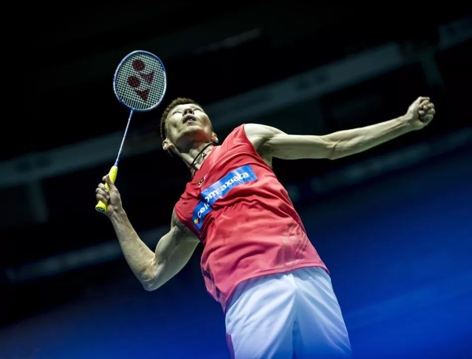 车队和车手 车队和车手